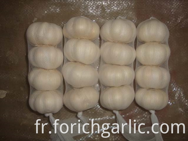 Pure White Garlic